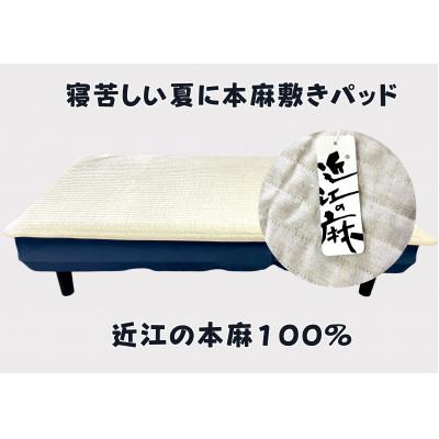 ふるさと納税 近江八幡市 【PRキャンペーン対象】吸放湿性に優れた天然植物繊維、近江の麻を使用した「近江本麻敷パッド」 |  | 02
