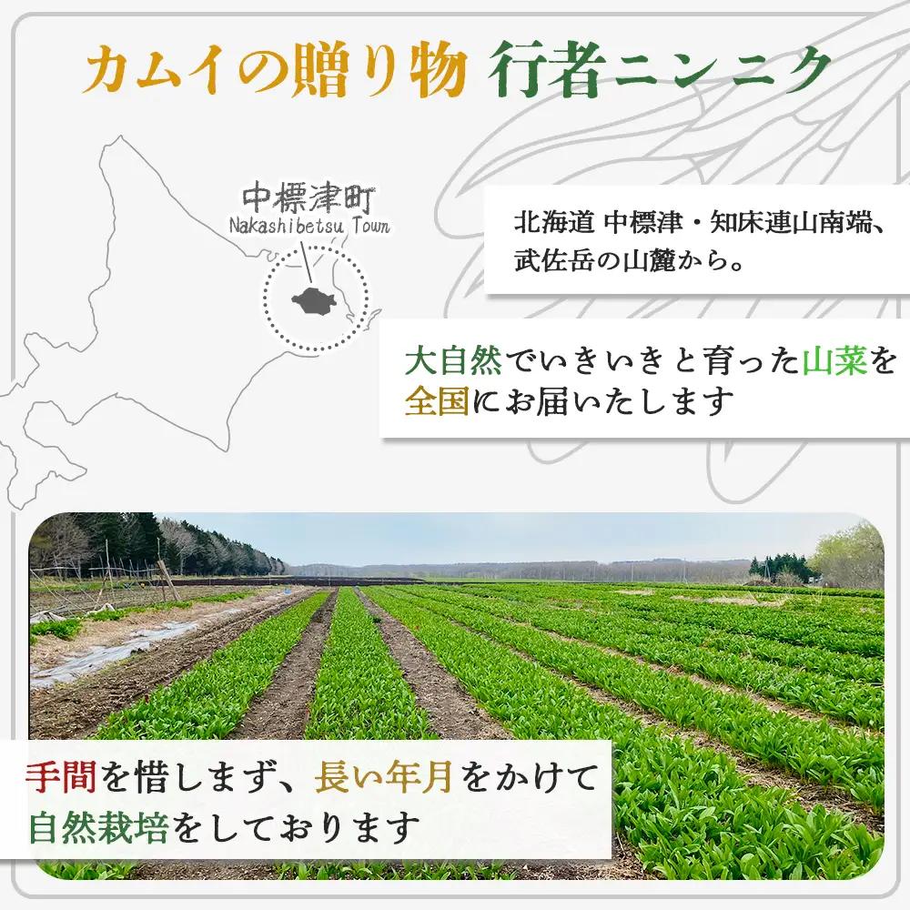 北海道中標津産 行者ニンニク醤油漬×3個・オイル味噌×3個セット【2000301】