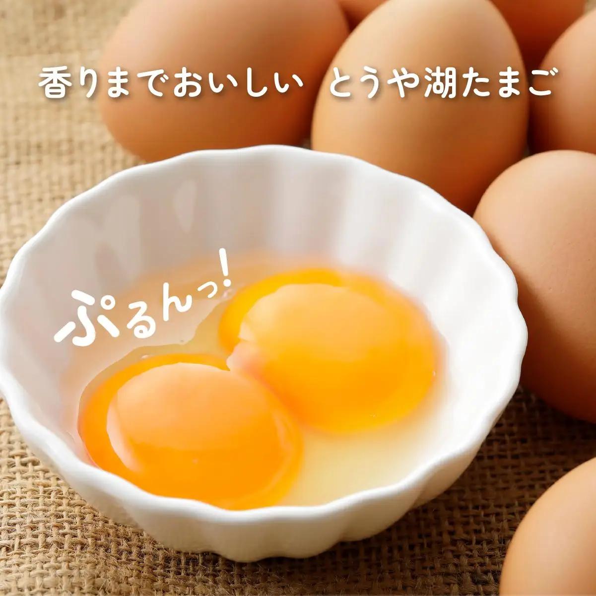 [5525-0923]【3ヵ月 定期便】 北海道 伊達市 とうや湖 卵  60個 入り たまご
