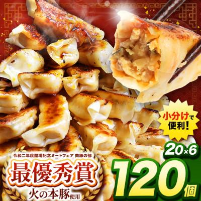 ふるさと納税 和水町 「火の本豚」餃子　20個入り×6パック(和水町)