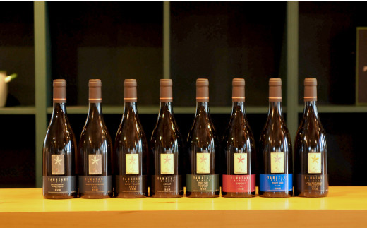 三國シェフ推奨！山崎ワイン(赤・白２本セット)各750ml《2026年1月下旬発送予定》【01008】