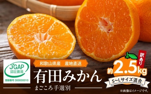 
                  ZE6480_12_【2026年12月発送】【家庭用】和歌山県産有田みかん 約2.5kg  (S～Lサイズ混合)【まごころ手選別】
                