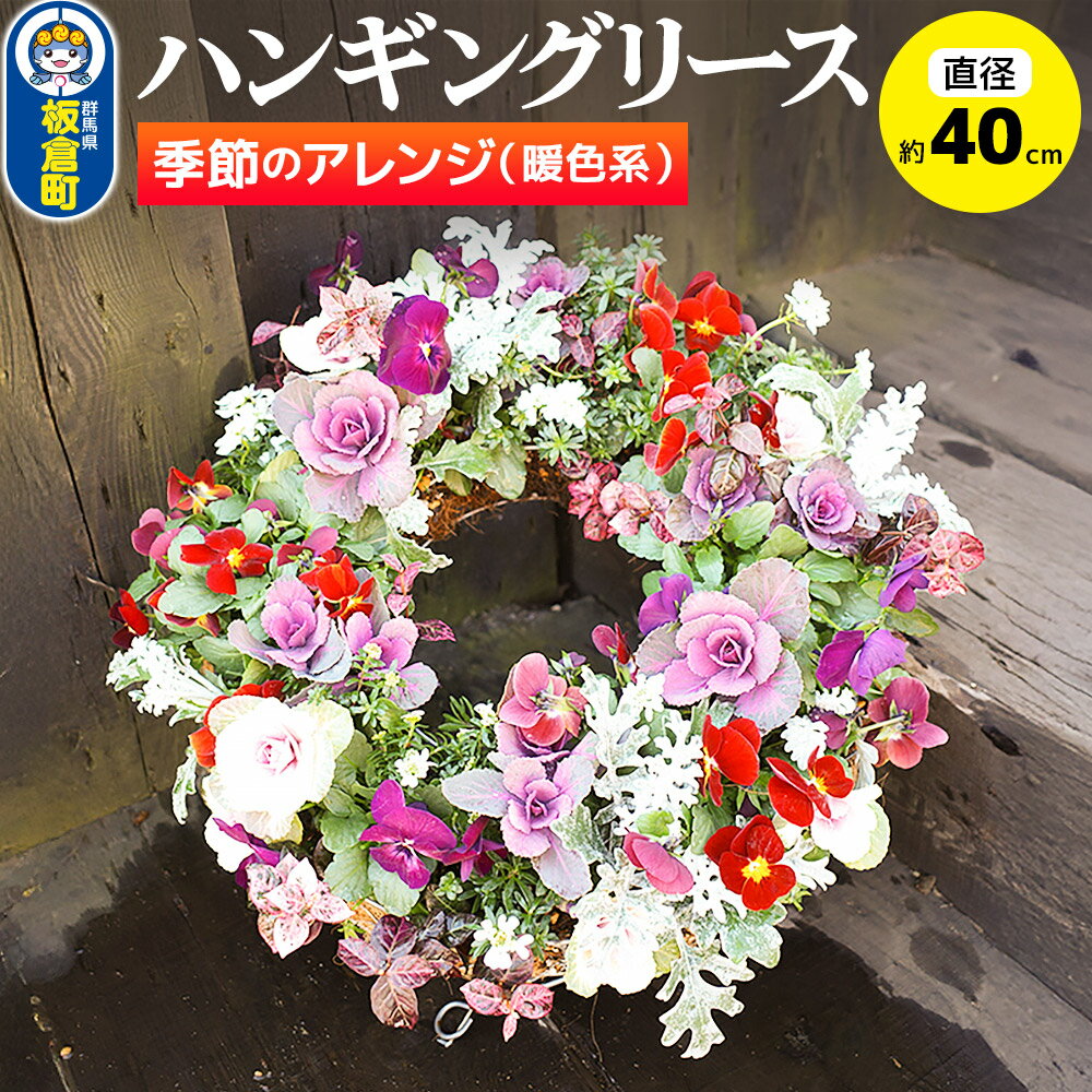 【ふるさと納税】ハンギングリース　季節のアレンジ (暖色系) 直径約40cm【生花 ビオラ インテリア 玄関 バスケット 寄せ植え プレゼント 贈り物】