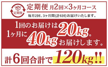 【月2回×3ヵ月定期便】薪 20kg月2回×3ヵ月 計6回お届け 火持ちがする 広葉樹 キャンプ[OBT007]