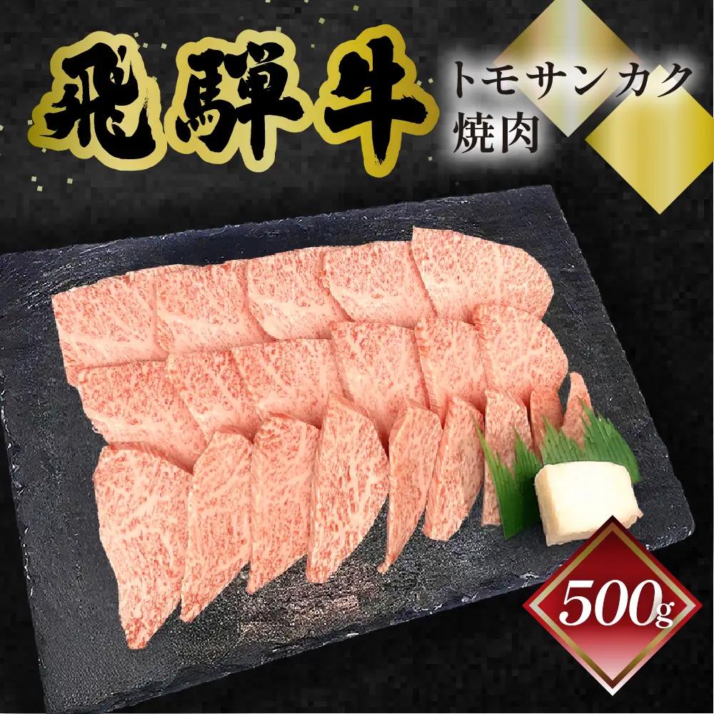 飛騨牛トモサンカク焼肉 500g（4～5人前）【70-6】 