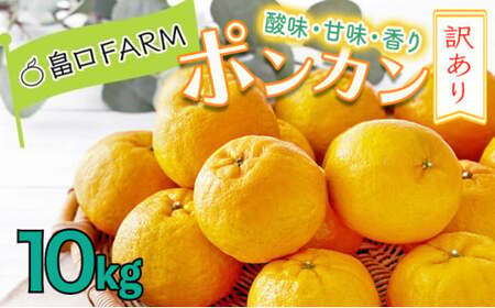 【先行予約】訳ありポンカン＜10kg＞ 【畠口FARM（畠口　佳養）】