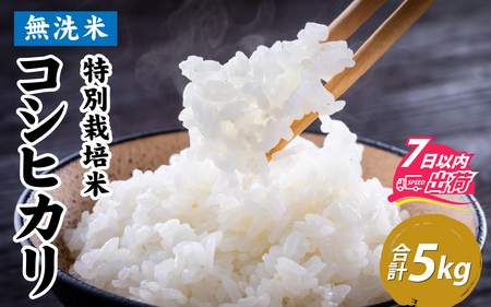 令和7年産【無洗米】特別栽培米 福井県産コシヒカリ 5kg [A-020031] / 無洗米