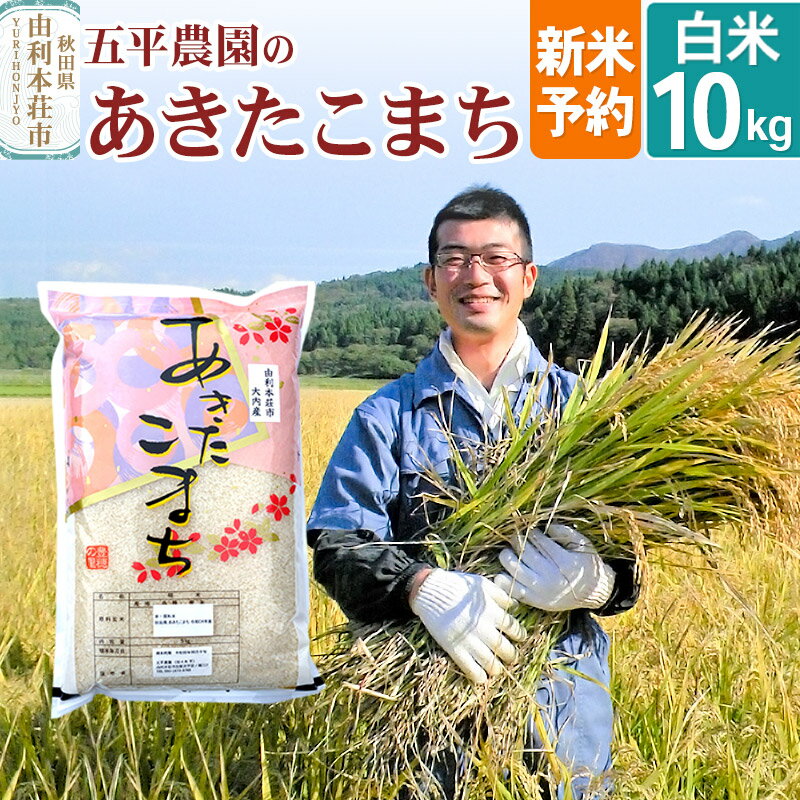 【ふるさと納税】《新米予約》【白米】《12月上旬〜下旬発送予定》令和7年産 秋田県産 五平農園の あきたこまち10kg