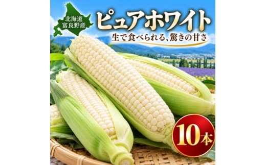 【発送月固定定期便】富良野産　メロン・スイカ・トウモロコシ全3回【4094159】