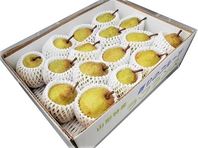 西洋梨（ラ・フランス）５ｋｇ　0040-2504