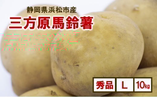 静岡県浜松市産 三方原馬鈴薯 秀品 L 10kg 男爵 じゃがいも じゃが芋 ジャガイモ 国産 野菜 浜松市 [№5360-0542]
