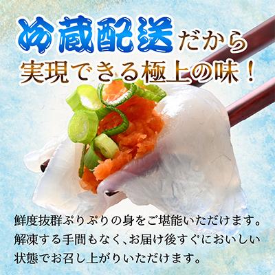ふるさと納税 小浜市 若狭ふぐ　てっさ(6人前) |  | 02