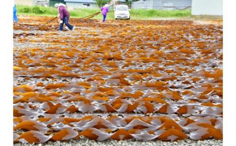 【お試し用】昆布だし1本・おやつ昆布2種セット_210101