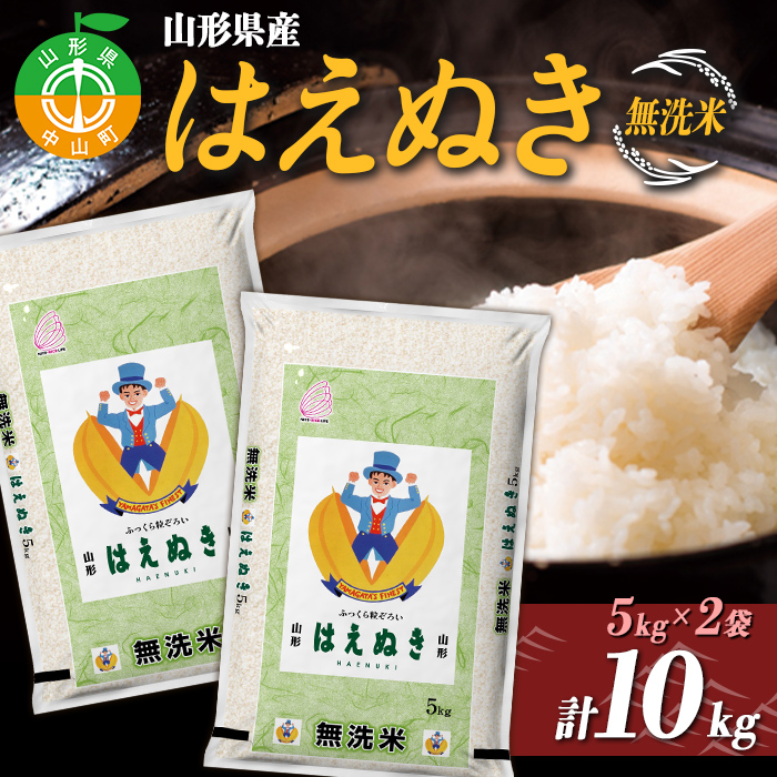 山形県産 はえぬき 無洗米5kg×2袋 計10kg F4A-0501