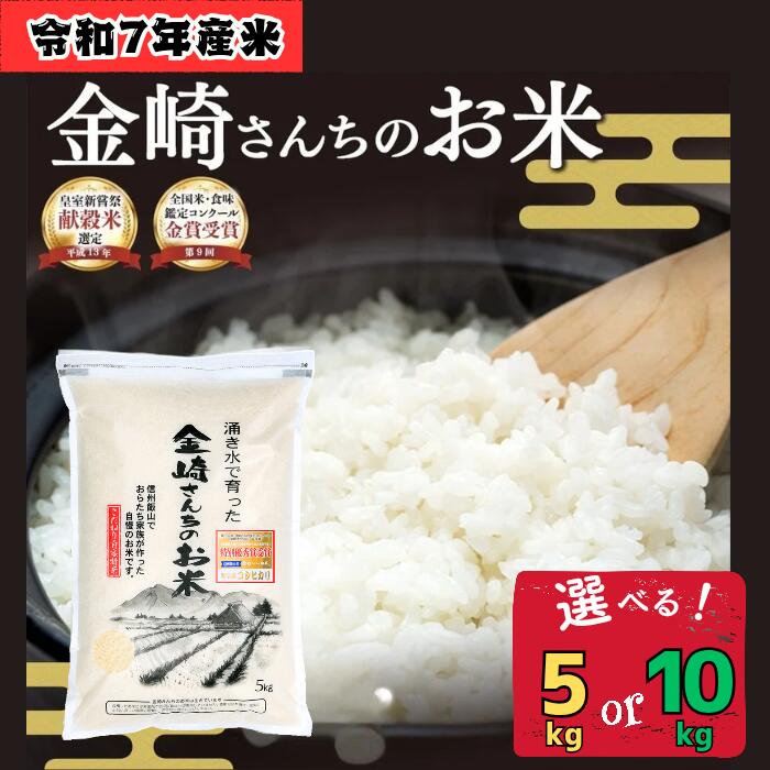 【ふるさと納税】＼皇室新嘗献穀米／ コシヒカリ 令和7年産 精米 選べる容量 5kg / 10kg 「金崎さんちのお米」【 長野県 飯山市 信州産 おいしい 新米 白米 ごはん ご飯 おすすめ 贈答用 贈答品 ギフト 人気 送料無料 産地直送 お歳暮 お正月 お年賀 節分 こしひかり 】