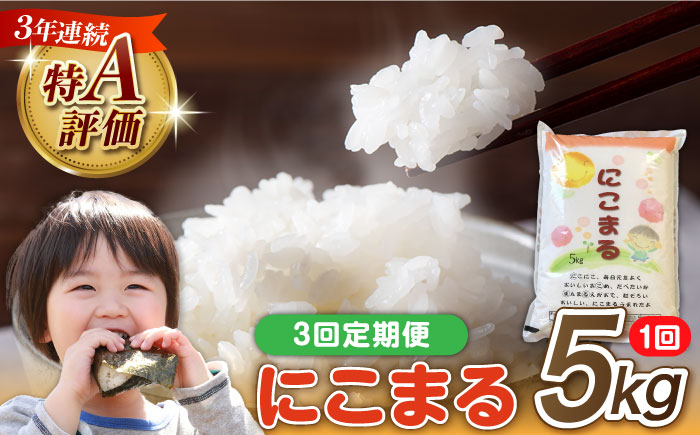 米 【3回定期便】 長崎県産 精米 にこまる 5kg 総計 15kg 精米 白米 お米 ライス ごはん 米 こめ ご飯 国産 お取り寄せ  / 南島原市 / 大松屋商店 [SDR002]