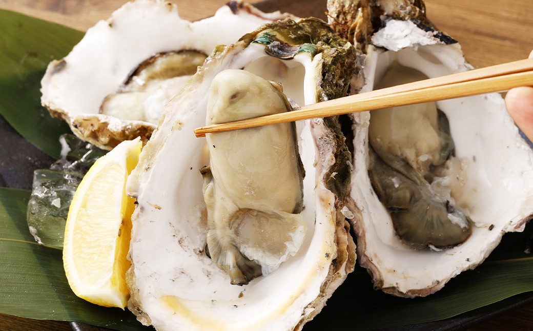 【指定日時必須】戸石産 岩牡蠣 計約2kg（生食用／カキナイフ付き）