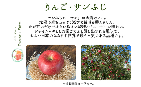 生産農家直送 信州りんご発祥の地・長沼産 長沼りんご サンふじ(ご家庭用) 約10kg サイズミックス 長野県産 栽培期間中化学肥料不使用 除草剤不使用 人にやさしく環境にもやさしい