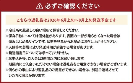 【先行受付】山梨県中央市産 春かぼちゃ 約4～5kg かぼちゃ 南瓜 カボチャ 野菜 山梨県 中央市 【2026年6月上旬〜8月上旬発送予定】