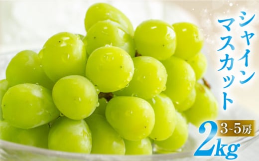 【2026年8月中旬～発送】【数量限定】シャインマスカット 2kg（3房～5房）/ マスカット ますかっと シャインマスカット しゃいんますかっと ますかっと マスカット マスカット シャインマスカット しゃいんますかっと ぶどう 葡萄 ブドウ フルーツ ふるーつ 果物 / 南島原市 / 長崎県農産品流通合同会社 [SCB084]