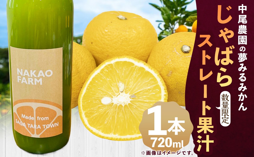 
                  【数量限定】中尾農園の夢みるみかん じゃばらストレート果汁 720ml x 1本 【7営業日以内発送】 ジャバラ じゃばら 希少 柑橘 果汁 ストレートジュース 飲料 ジュース 国産 ギフト 贈答品 贈り物 佐賀県 太良町 MA11x2
                