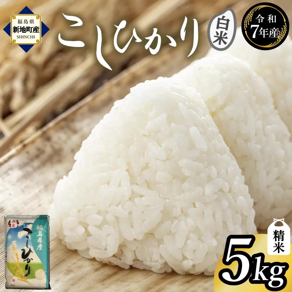 こしひかり  5kg 令和7年度産 精米 福島県新地町産