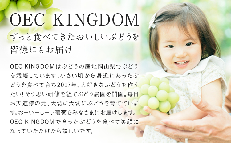 【2025年先行予約】贈答クラス シャインマスカット 2房 (合計1.3kg以上) OEC KINGDOMぶどう家 《8月下旬-10月中旬頃出荷》岡山県 浅口市 ぶどう 果物 贈答用【配送不可地域あり