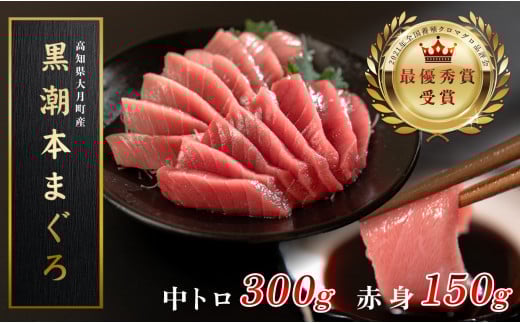 
            【12/23までの寄附で年内発送】 マグロ まぐろ 本マグロ 刺身 赤身 中トロ 2種 450g 養殖 本まぐろ さしみ 刺し身 ネギトロ ねぎとろ 漬け丼 海鮮丼 まぐろたたき 海鮮セット 柵 年末 年始 正月 高知県 大月町
          
