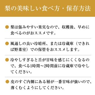 【先行予約】山之上 梨 １箱 豊水 2.5kg程度 | 丸坂山田農園 なし ほうすい M10S125
