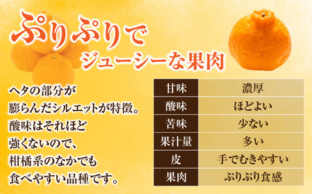 先行予約 不知火 計6kg以上 黒箱 化粧箱入り 期間限定 数量限定 果物 フルーツ くだもの 柑橘 みかん 令和8年発送 みかんジュース デザート おやつ 人気 おすすめ 国産 食品 ギフト 贈り物