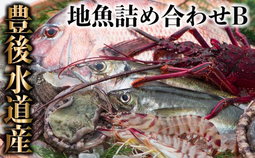 
うすき豊後水道物語　豊後水道うすき地魚詰め合わせB
