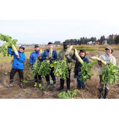 ふるさと納税 十日町市 サラダ専用切り干し大根「ドライJラディッシュ」4袋【障がい者支援の返礼品】 |  | 02