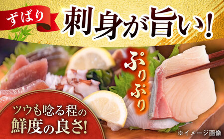 【五島列島・直送】朝獲れ！高級鮮魚セット2kg / 冷蔵 おまかせ おたのしみ 刺身 五島市 / 鯛福丸水産 [PDP002]