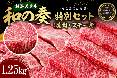 農林水産大臣賞受賞 特選 天童牛 " 和の奏 " 特別 セット ( 焼肉 ・ ステーキ セット ) 山形牛 和牛 牛肉 08-27-025