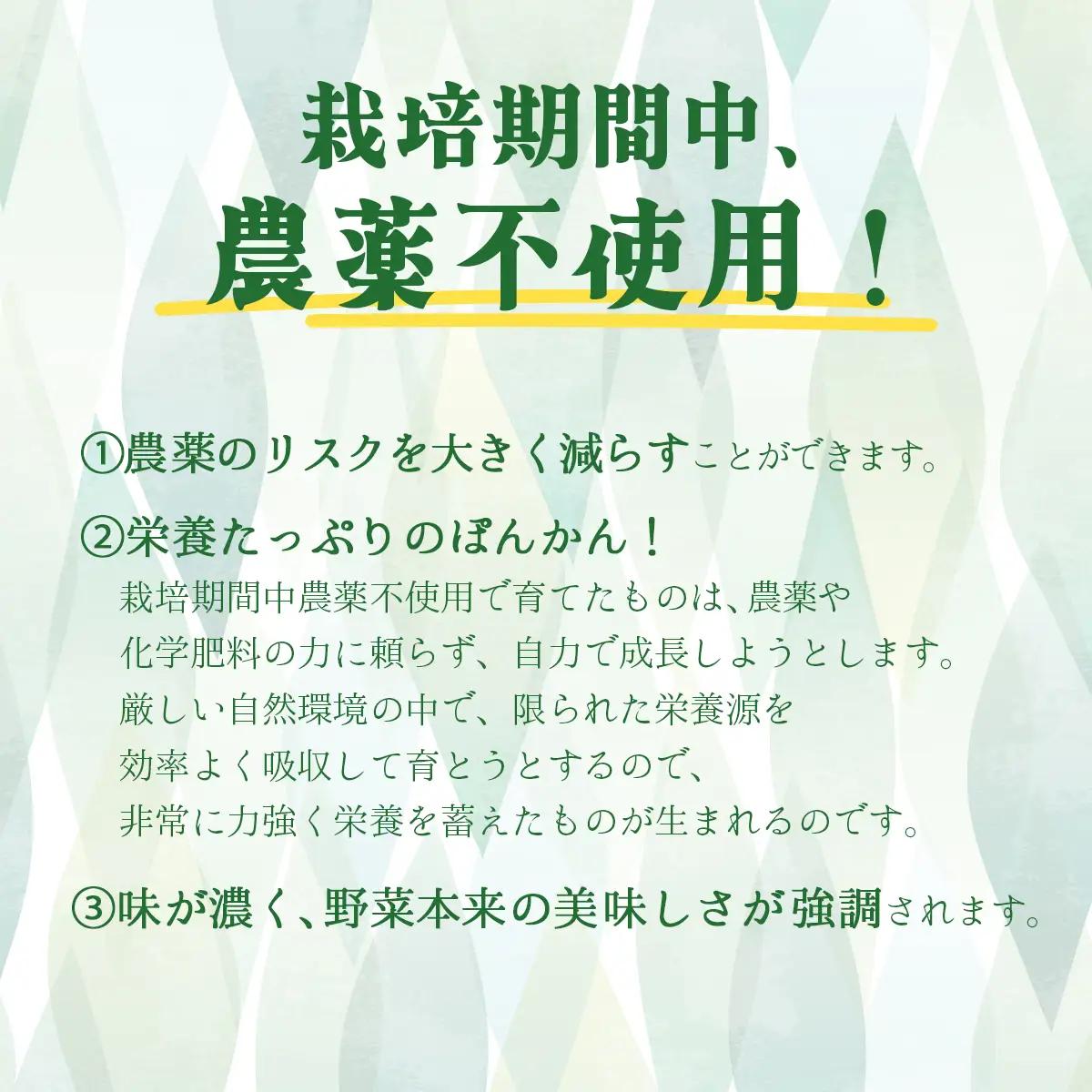 【先行予約】ヘルシーぽんかん10kg 柑橘 ジューシー F139