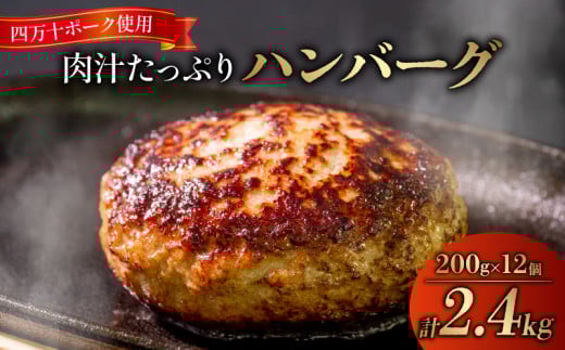 ハンバーグ 四万十ポーク 入り 2.4kg ( 200g × 12個 )  冷凍 真空 小分け 個包装 肉汁 たっぷり 大容量 大きめ 合挽き 牛肉 豚肉 保存料 不使用 ビーフ ポーク 合いびき肉 挽肉 ジューシー お弁当 おかず 惣菜 晩ごはん 贅沢 ギフト 贈り物 贈答 SNM001-1