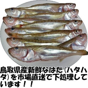 【24010】ハタハタ簡単煮つけ２パックセット 鳥取県岩美町特産