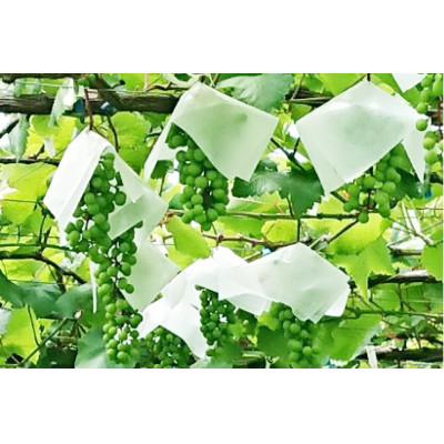 ふるさと納税 韮崎市 《数量限定》【国産】ロワイヤル ヴェルジュ 190ml×2本 |  | 02