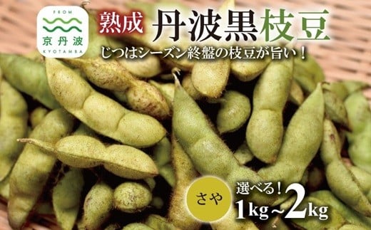 
            熟成 丹波黒枝豆 さや 選べる 1kg 1.5kg 2kg （京都 京丹波町産 丹波黒大豆）≪秋だけの期間限定 数量限定≫【 熟成 季節限定 おつまみ 枝豆 えだまめ 地域限定 黒豆 ご当地グルメ 特産品】※北海道・沖縄・その他離島は配送不可 [008KK001LX]
          