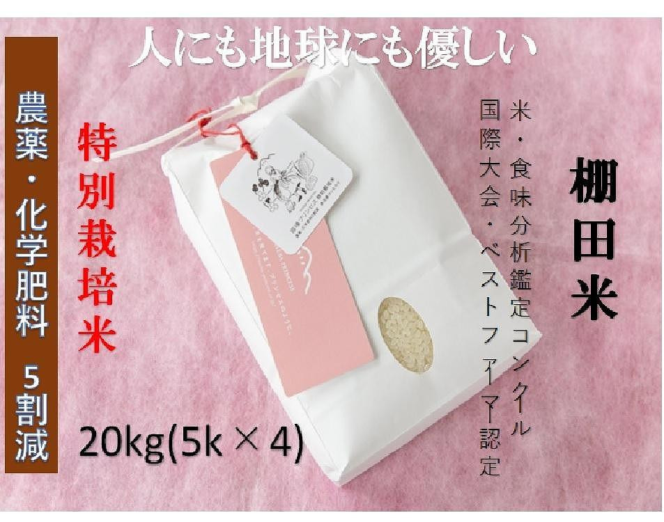 
            【2025年産新米】【農薬化学肥料5割減】魚沼産コシヒカリ 苗場プリンセス 特別栽培米 精米 20kg（5kg×4袋)
          