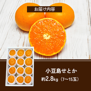 【 小豆島 】小豆島せとか 約2.8kg 柑橘 せとか 瀬戸香 果物 フルーツ 国産 くだもの ジューシー フレッシュ 国産 香川 香川県 土庄 土庄町