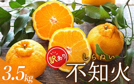訳あり 不知火 約3.5kg ＋痛み保証分 大小混合 家庭用【njb670C】