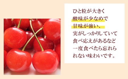 【令和8年産先行予約】 さくらんぼ 紅秀峰 (L又は2Lサイズ) 1kg バラ詰め 山形県鶴岡市産　株式会社 元青果