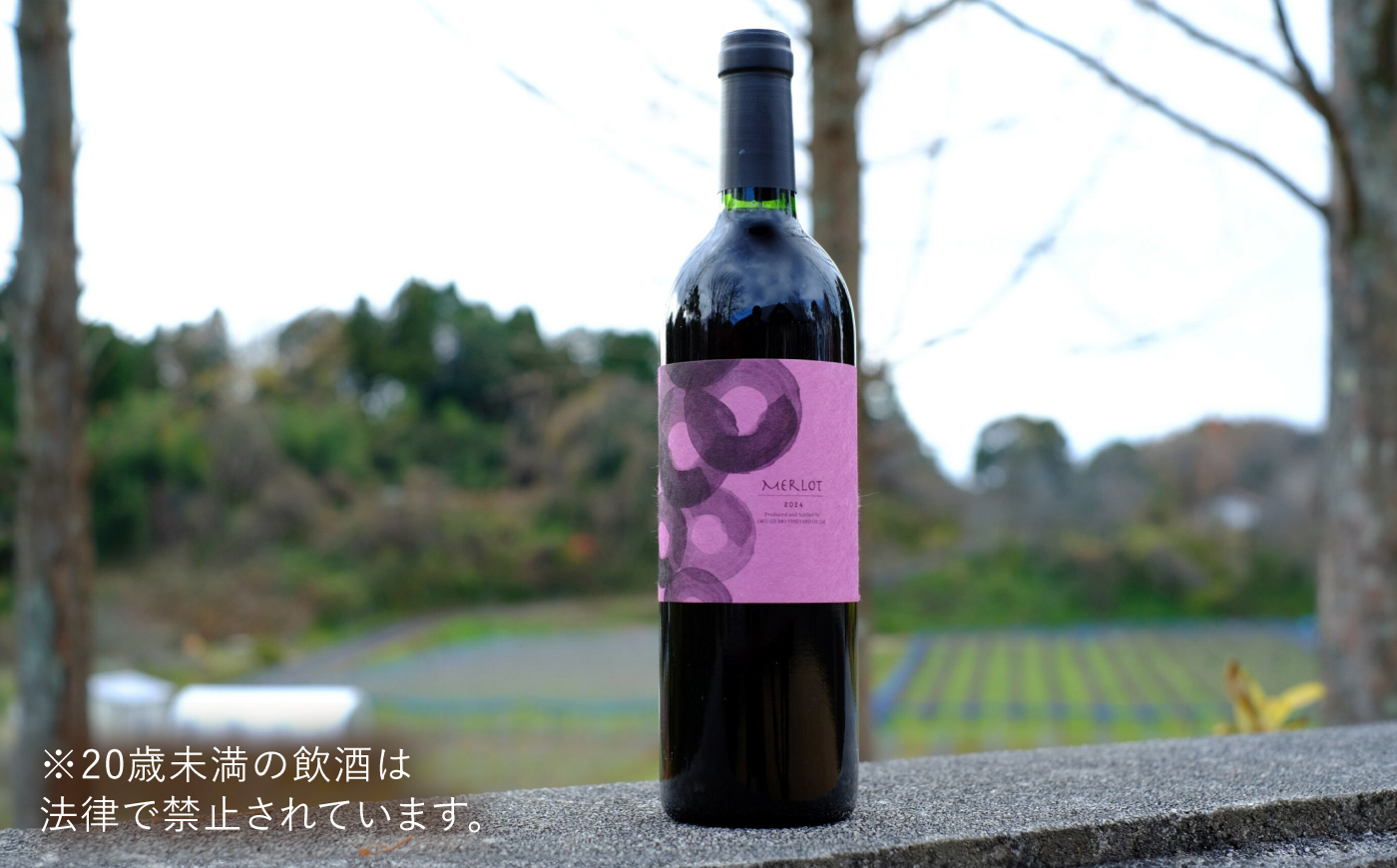 メルロ 2本 750ml×2 赤ワイン 国産 島根県雲南市/有限会社奥出雲葡萄園 [AICS101]