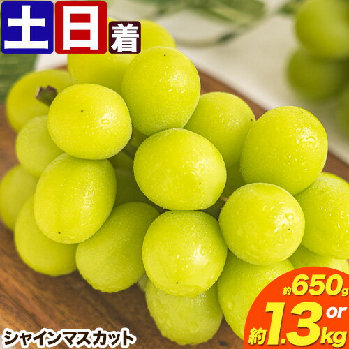 【ふるさと納税】 先行予約 シャインマスカット 岡山 約650g 1房 約1.3kg 2房 厳選 旬 ぶどう ブドウ 葡萄 晴王 マスカット 果物 フルーツ ギフト 岡山県 笠岡市 訳あり クール便 爽やか 贅沢《2025年9月上旬-11月中旬頃出荷》