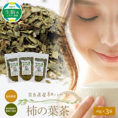 ふるさと納税 生駒市 奈良県産柿の葉茶　40g×3