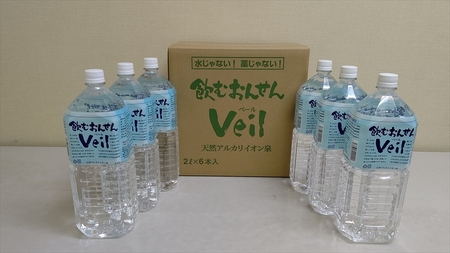 【定期便9ヶ月】飲むおんせんベール2L×6本入+500ml×12本入セット【 温泉水 温泉純度100％ 保存水 防災 神奈川県 山北町 】