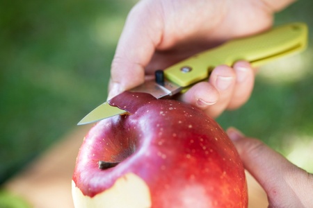 ポケットナイフ Coupe（クープ） ココアブラウン TP-921/a3 モキナイフ