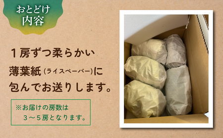 先行受付2026年発送【土屋農園】農家直送！クイーンルージュ（R）約2kg(3～5房）種なしぶどう　皮ごと　長野県産ブドウ　クイーンルージュ
