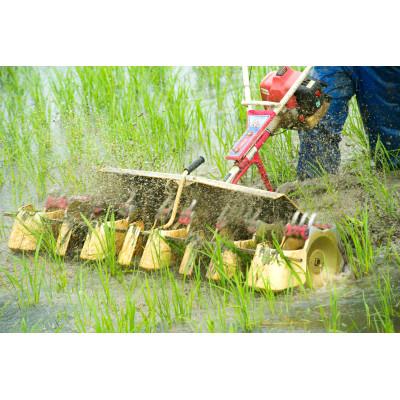 ふるさと納税 鶴岡市 山形県鶴岡市 令和6年産 おやじの米 JAS有機栽培米 雪若丸 精米 5kg |  | 02